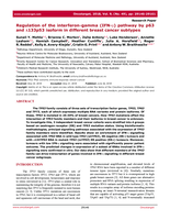 Regulation of the interferon-gamma (IFN-γ) pathway by p63 and Δ133p53 isoform in different breast cancer subtypes