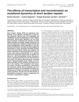 The effects of transcription and recombination on mutational dynamics of short tandem repeats