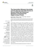The Association Between Ascorbate and the Hypoxia-Inducible Factors in Human Renal Cell Carcinoma Requires a Functional Von Hippel-Lindau Protein