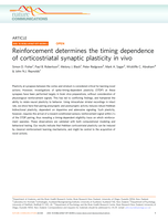 Reinforcement determines the timing dependence of corticostriatal synaptic plasticity in vivo