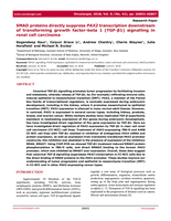 SMAD proteins directly suppress PAX2 transcription downstream of transforming growth factor-beta 1 (TGF-β1) signalling in renal cell carcinoma