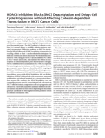 HDAC8 Inhibition Blocks SMC3 Deacetylation and Delays Cell Cycle Progression without Affecting Cohesin-dependent Transcription in MCF7 Cancer Cells