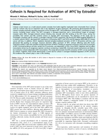 Cohesin Is Required for Activation of MYC by Estradiol