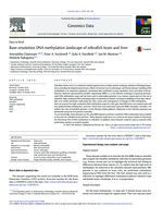 Base-resolution DNA methylation landscape of zebrafish brain and liver
