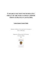 Caesarean section wound healing: Impact of the subcutaneous adipose tissue extracellular matrix