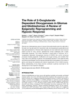 The Role of 2-Oxoglutarate Dependent Dioxygenases in Gliomas and Glioblastomas: A Review of Epigenetic Reprogramming and Hypoxic Response