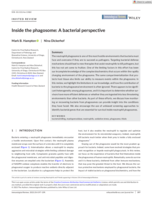 Inside the phagosome: A bacterial perspective