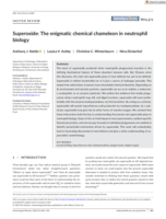 Superoxide: The enigmatic chemical chameleon in neutrophil biology