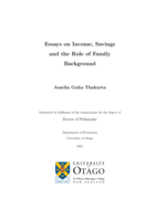 Essays on income, savings and the role of family background