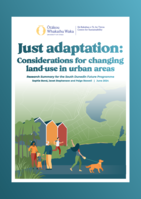 Just Adaptation: Considerations for changing land-use in urban areas: Research Summary for the South Dunedin Future Programme