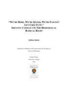 "We're here, we're queer, we're fascist! Get used to it." Identity conflict in the homosexual radical right