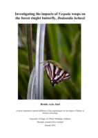 Investigating the impacts of Vespula wasps on the forest ringlet butterfly, Dodonidia helmsii