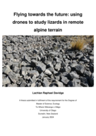 Flying towards the future: using drones to study lizards in remote alpine terrain