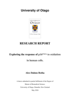 Exploring the response of p16ᴵᴺᴷ⁴ᵃ to oxidation in human cells