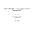 Manipulating sex using epigenetics and the ribosome
