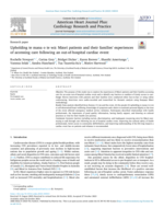 Upholding te mana o te wa: Maori patients and their families' experiences of accessing care following an out-of-hospital cardiac event