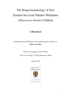 The Biogeomorphology of New Zealand Sea Lion/ Pakake/ Whakahao (Phocarctos hookeri) Habitat