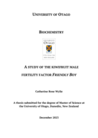 A study of the kiwifruit male fertility factor Friendly Boy
