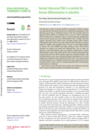 Variant ribosomal DNA is essential for female differentiation in zebrafish