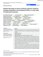 Skeletal mineralogy of marine calcifying organisms shaped by seawater temperature and evolutionary history-A case study of cheilostome bryozoans
