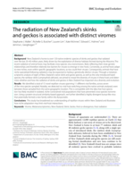 The radiation of New Zealand's skinks and geckos is associated with distinct viromes