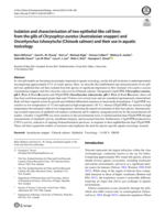 Isolation and characterisation of two epithelial-like cell lines from the gills of Chrysophrys auratus (Australasian snapper) and Oncorhynchus tshawytscha (Chinook salmon) and their use in aquatic toxicology