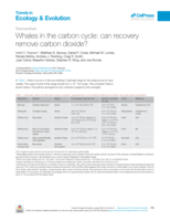 Correction: Whales in the carbon cycle: can recovery remove carbon dioxide?