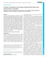 Cohesin composition and dosage independently affect early development in zebrafish