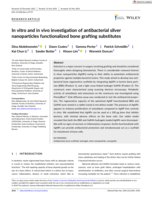 In vitro and in vivo investigation of antibacterial silver nanoparticles functionalized bone grafting substitutes
