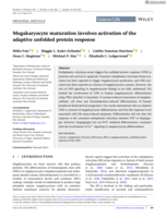 Megakaryocyte maturation involves activation of the adaptive unfolded protein response