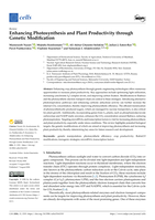 Enhancing Photosynthesis and Plant Productivity through Genetic Modification