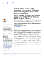 A glycan receptor kinase facilitates intracellular accommodation of arbuscular mycorrhiza and symbiotic rhizobia in the legume Lotus japonicus