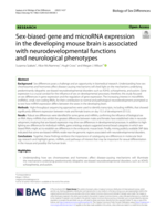 Sex-biased gene and microRNA expression in the developing mouse brain is associated with neurodevelopmental functions and neurological phenotypes