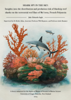 Shark spy in the sky: Insights into the distribution and predation risk of blacktip reef sharks on the terrestrial reef flats of Mo'orea, French Polynesia