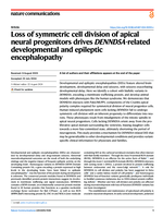 Loss of symmetric cell division of apical neural progenitors drives DENND5A-related developmental and epileptic encephalopathy