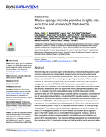 Marine sponge microbe provides insights into evolution and virulence of the tubercle bacillus