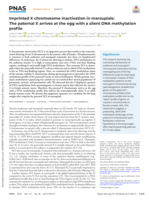 Imprinted X chromosome inactivation in marsupials: The paternal X arrives at the egg with a silent DNA methylation profile