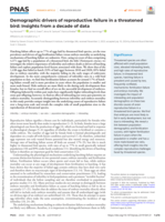 Demographic drivers of reproductive failure in a threatened bird: Insights from a decade of data