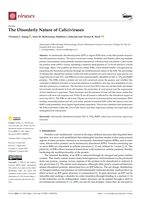 The Disorderly Nature of Caliciviruses