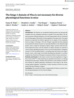 The hinge‐1 domain of Flna is not necessary for diverse physiological functions in mice