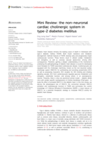 Mini Review: the non-neuronal cardiac cholinergic system in type-2 diabetes mellitus