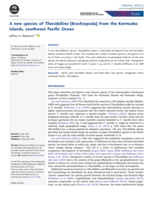 A new species of Thecidellina (Brachiopoda) from the Kermadec Islands, southwest Pacific Ocean