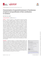 Characterization of acquired β-lactamases in Pseudomonas aeruginosa and quantification of their contributions to resistance