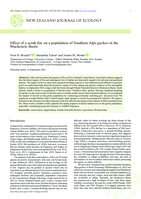 Effect of a scrub fire on a population of Southern Alps geckos in the Mackenzie Basin