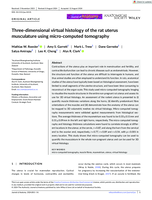 Three‐dimensional virtual histology of the rat uterus musculature using micro‐computed tomography