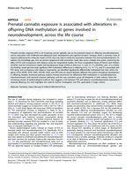 Prenatal cannabis exposure is associated with alterations in offspring DNA methylation at genes involved in neurodevelopment, across the life course