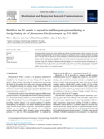 Phe265 of the D1 protein is required to stabilize plastoquinone binding in the QB-binding site of photosystem II in Synechocystis sp. PCC 6803