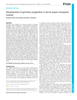 Development of germline progenitors in larval queen honeybee ovaries