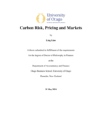 Carbon risk, pricing and markets