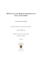TET catalytic domain specificity in cells and ageing